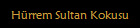 Hürrem Sultan Kokusu