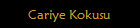 Cariye Kokusu